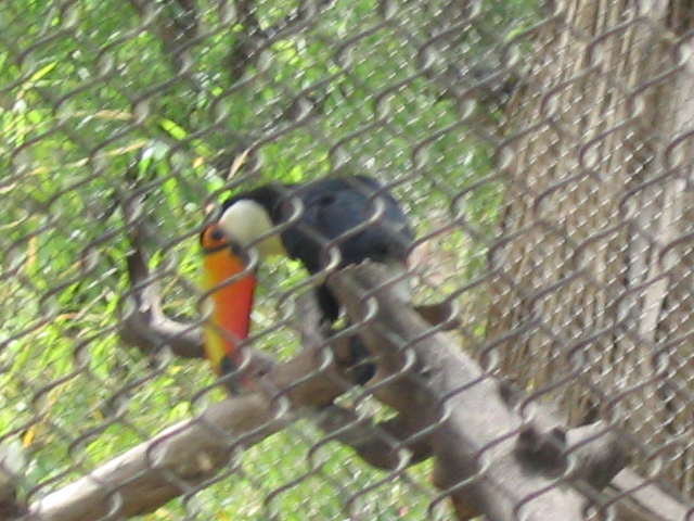 618x457 pixels (203K)